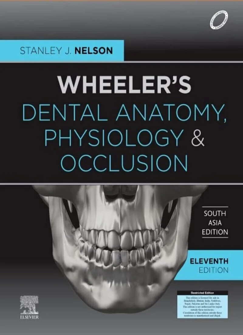 Wheeler Dental Anatomy, Physiology and Occlusion Nelson 1 Wheeler Dental Anatomy Physiology and Occlusion Nelson 1